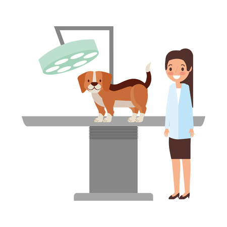 veterinary doctor female and dog clinic petcare vector illustrationのイラスト素材