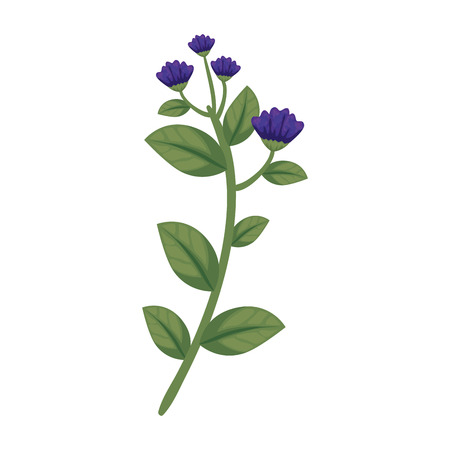 branch with flower and leafs vector illustration designのイラスト素材