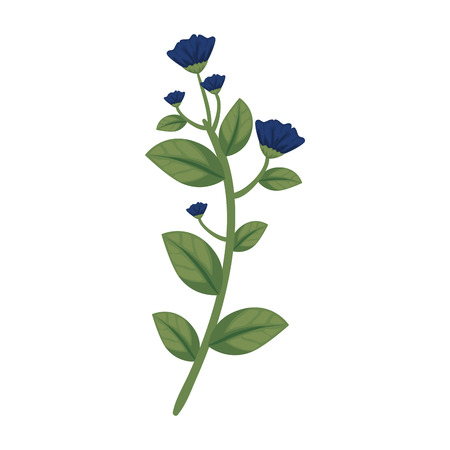 branch with flower and leafs vector illustration designのイラスト素材