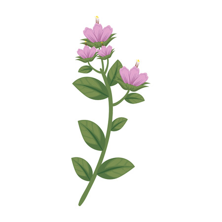 branch with flower and leafs vector illustration designのイラスト素材