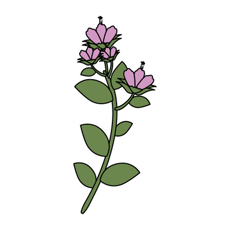 branch with flower and leafs vector illustration designのイラスト素材