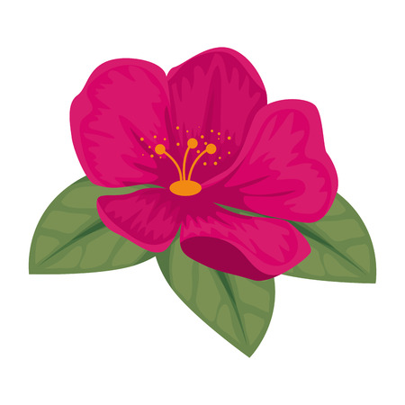 cute flower with leafs decorative vector illustration designのイラスト素材