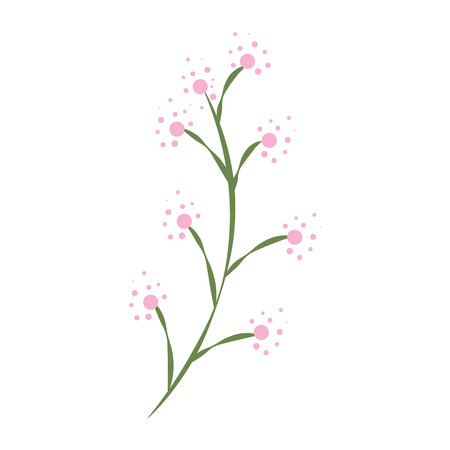 branch with flower and leafs vector illustration designのイラスト素材