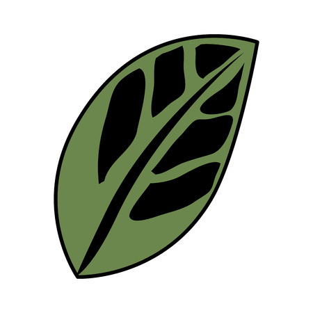 leaf plant ecology icon vector illustration designのイラスト素材