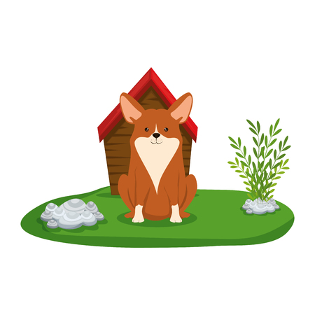 cute dog with house wooden in the grass vector illustration designのイラスト素材