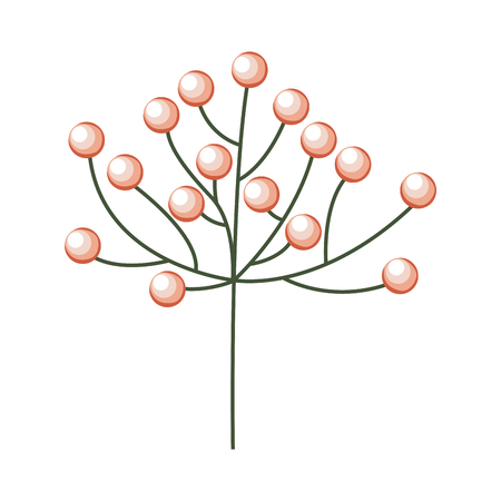 branch with berries nature floral vector illustrationのイラスト素材