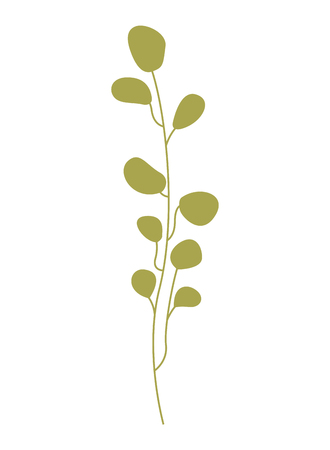 floral leaves foliage on white background vector illustrationのイラスト素材