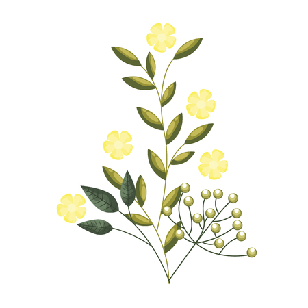 branch flowers berries decoration nature vector illustrationのイラスト素材