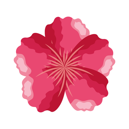 pink flower ornament on white background vector illustrationのイラスト素材