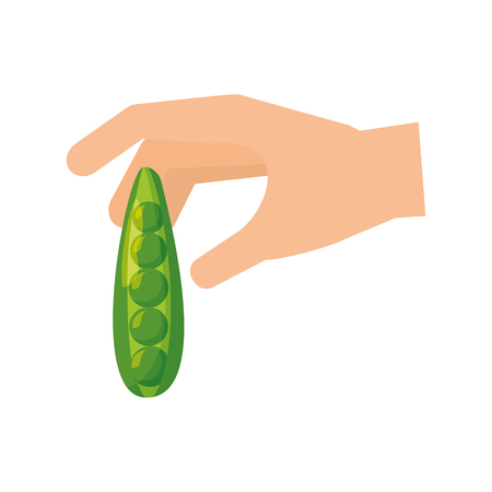 hand holding peas healthy food fresh vector illustrationのイラスト素材