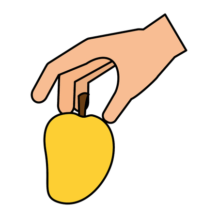 hand holding mango healthy food fresh vector illustrationのイラスト素材