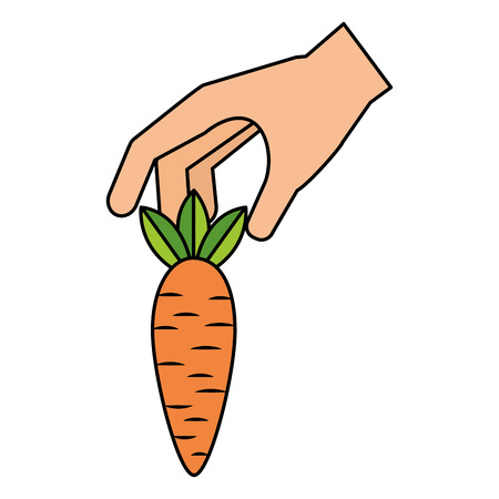 hand holding carrot healthy food fresh vector illustrationのイラスト素材