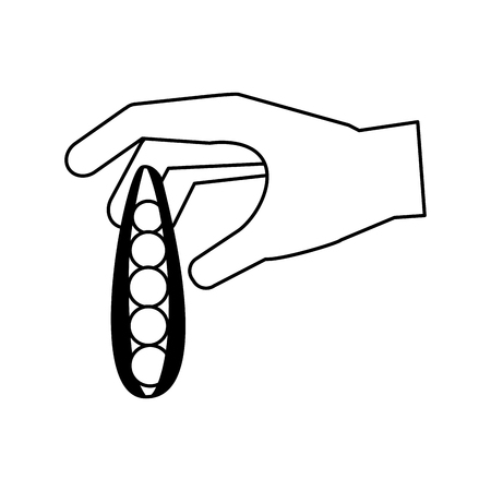hand holding peas healthy food fresh vector illustrationのイラスト素材