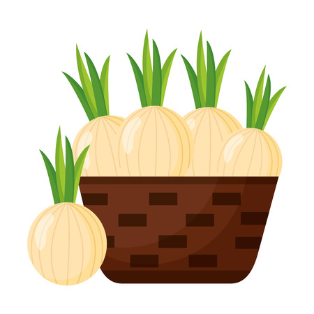 wicker basket with fresh onion vector illustrationのイラスト素材