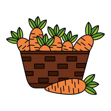 wicker basket with fresh carrots vector illustration vector illustrationのイラスト素材