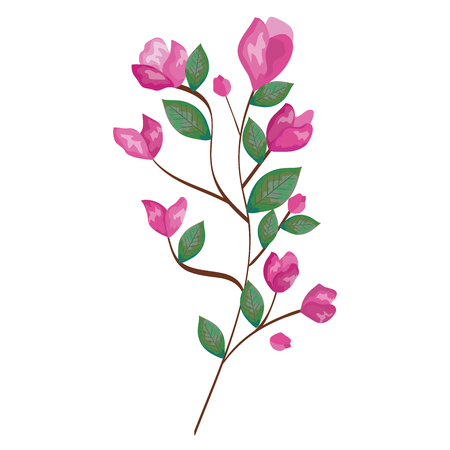 branch with rose and leafs vector illustration designのイラスト素材