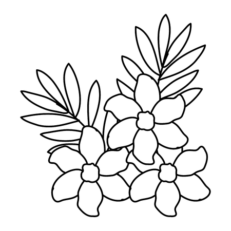 beautiful flowers and leafs decoration vector illustration designのイラスト素材