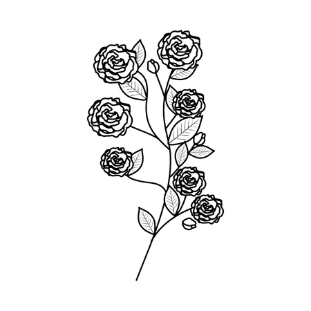 branch with rose and leafs vector illustration designのイラスト素材