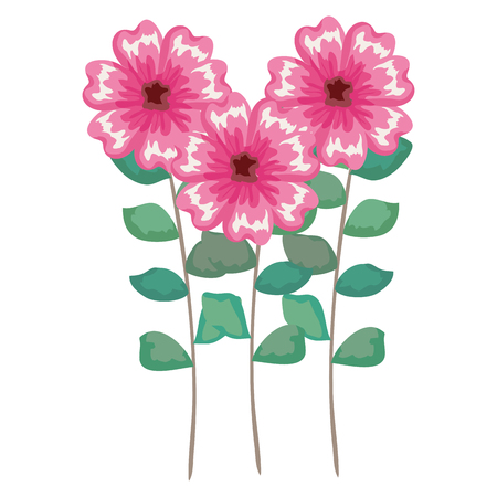 beautiful flowers and leafs decoration vector illustration designのイラスト素材