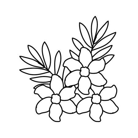 beautiful flowers and leafs decoration vector illustration designのイラスト素材