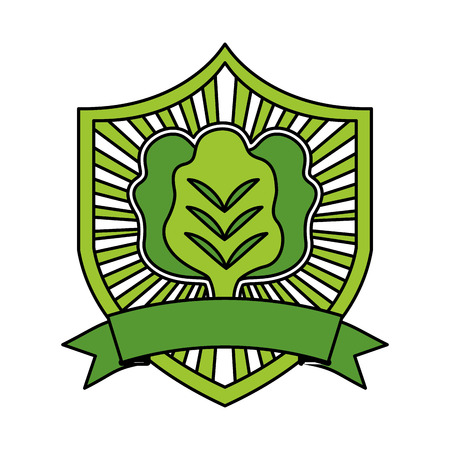 lettuce fresh healthy food emblem vector illustrationのイラスト素材