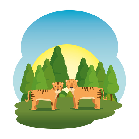 cute tigers couple in the field scene vector illustration designのイラスト素材