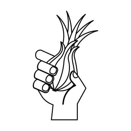 hand holding fresh onion vegetable vector illustrationのイラスト素材