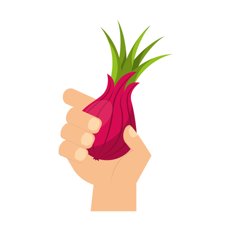 hand holding fresh onion vegetable vector illustrationのイラスト素材