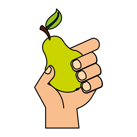 hand holding pear fresh food vector illustrationのイラスト素材