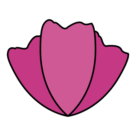 natural flower decoration on white background vector illustrationのイラスト素材