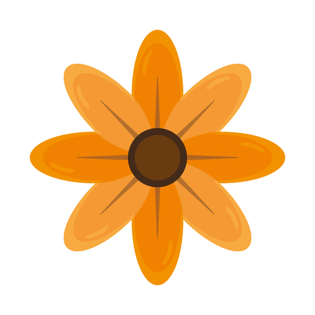 natural flower decoration on white background vector illustrationのイラスト素材