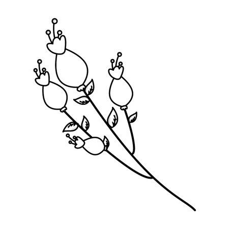 flowers stem leaves on white background vector illustrationのイラスト素材