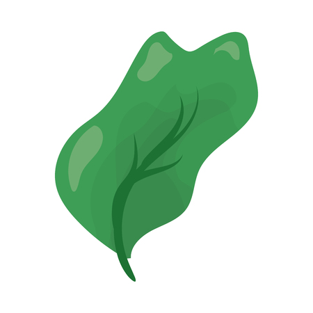 green leaf natural on white background vector illustrationのイラスト素材