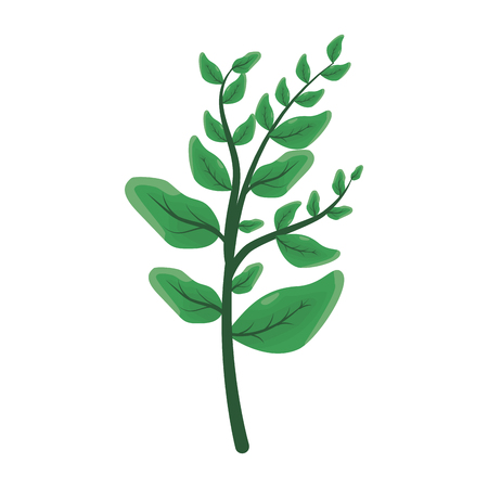 green branch leaves on white background vector illustrationのイラスト素材
