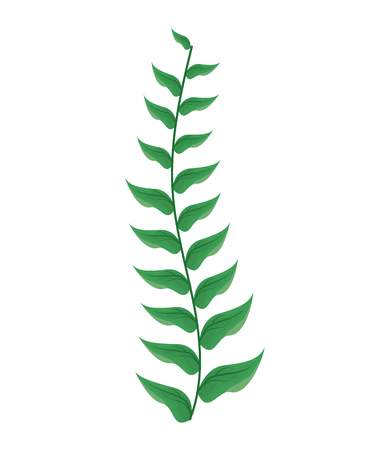 green branch leaves on white background vector illustrationのイラスト素材