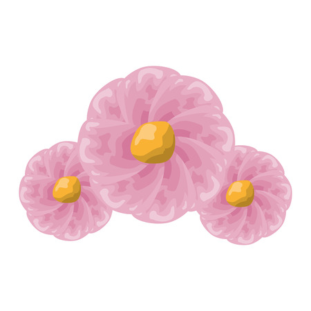 three flowers decoration on white background vector illustrationのイラスト素材