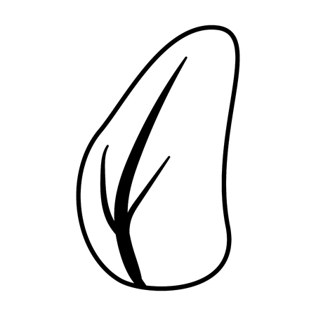 green leaf natural on white background vector illustrationのイラスト素材