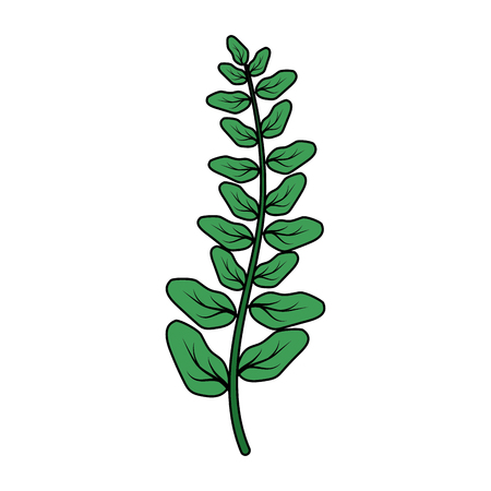 green branch leaves on white background vector illustrationのイラスト素材