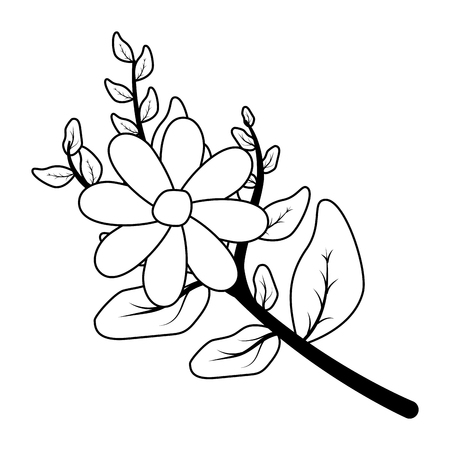 flower leaves stem nature foliage vector illustrationのイラスト素材