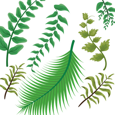 foliage nature landscape leaves background vector illustrationのイラスト素材