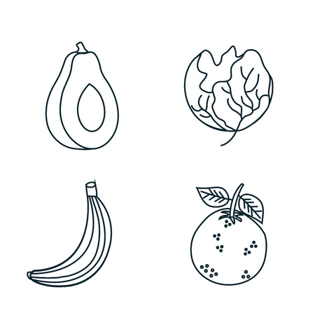 group of fruits and vegetables vector illustration designのイラスト素材