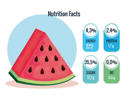 fresh watermelon with nutrition facts vector illustration designのイラスト素材