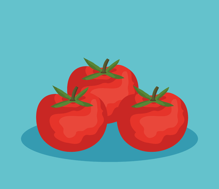 fresh tomatoes vegetables icon vector illustration designのイラスト素材