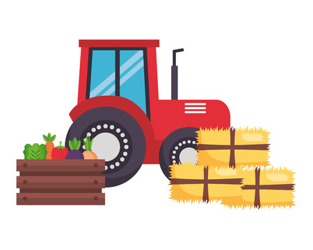 tractor truck bales of hay and vegetables vector illustrationのイラスト素材