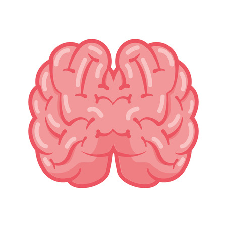 top view human brain on white background vector illustrationのイラスト素材