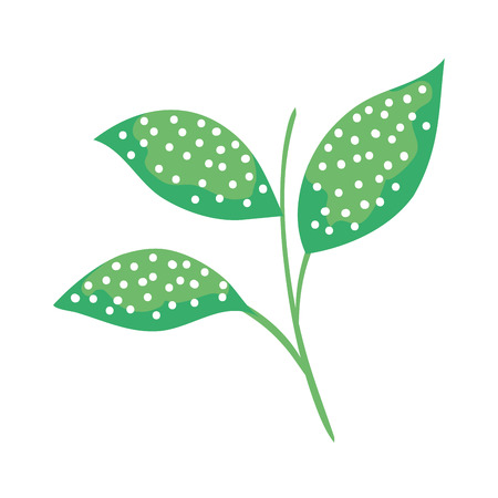 branch with leafs plant vector illustration designのイラスト素材