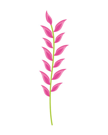 branch leaves foliage on white background vector illustrationのイラスト素材