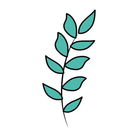 branch with leafs plant vector illustration designのイラスト素材