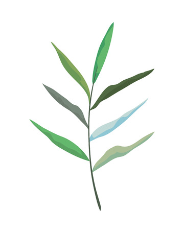 branch with leafs plant vector illustration designのイラスト素材