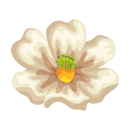 beautiful flower decorative icon vector illustration designのイラスト素材